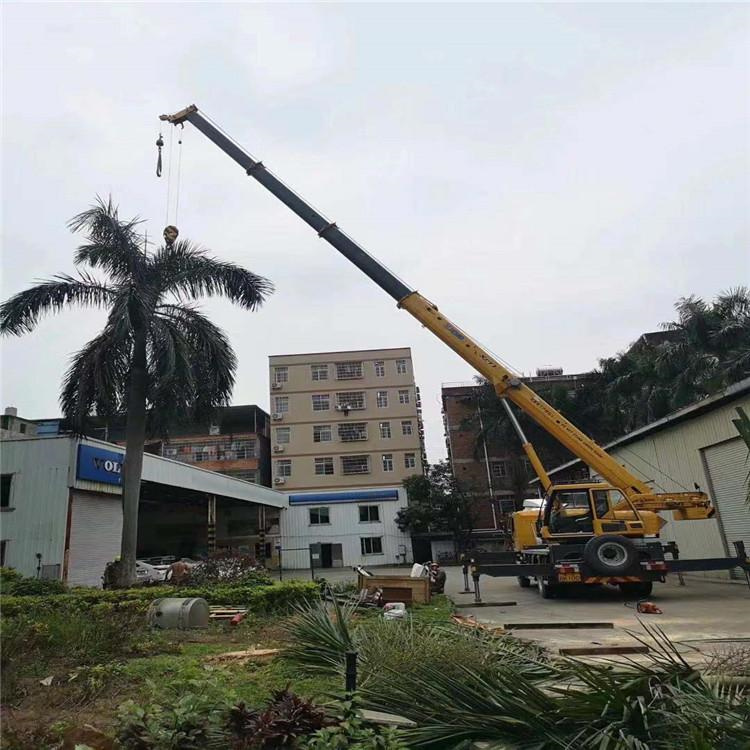 岑溪吊车吊大树几种方法